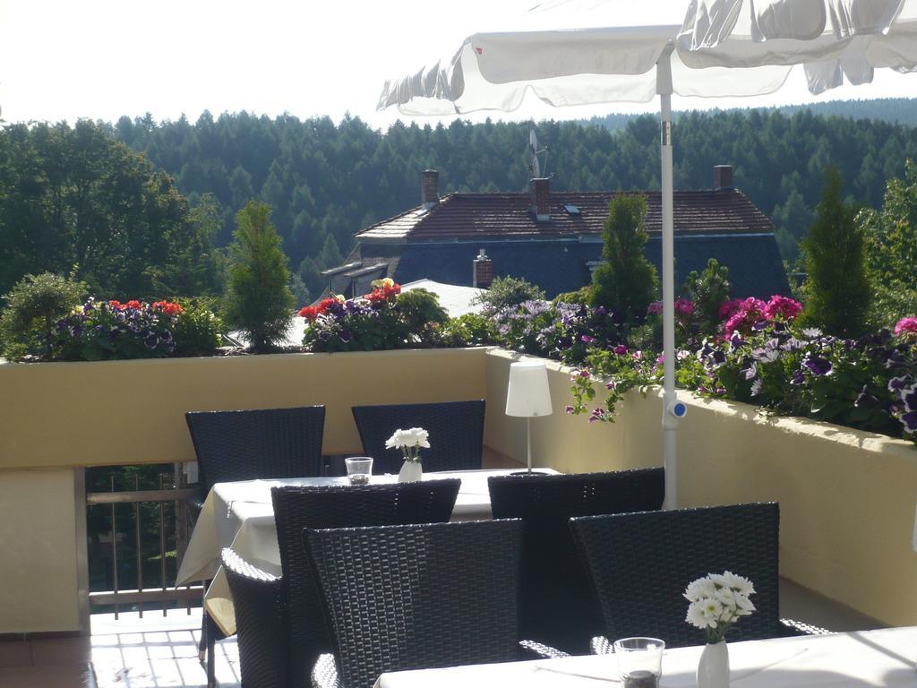 Hotel Falkenstein Falkenstein (Vogtland) Exterior foto