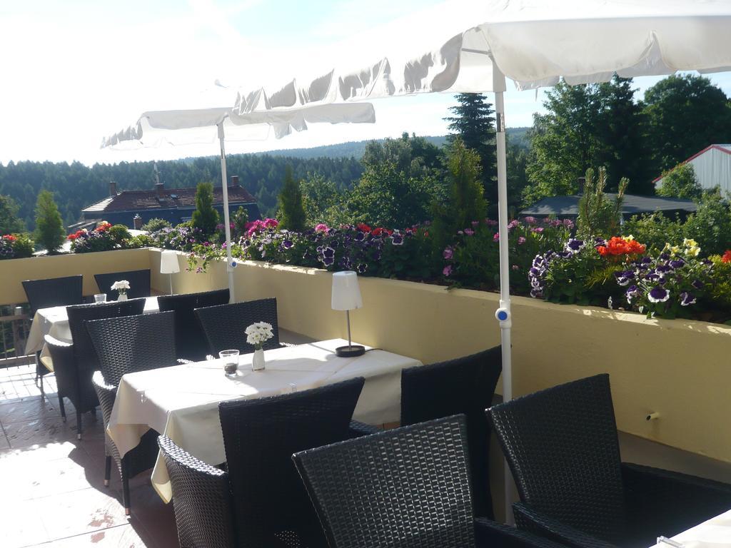 Hotel Falkenstein Falkenstein (Vogtland) Exterior foto